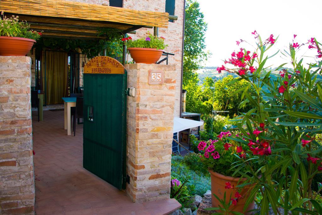 B&B Borgo Marano Cupra Marittima Exteriör bild