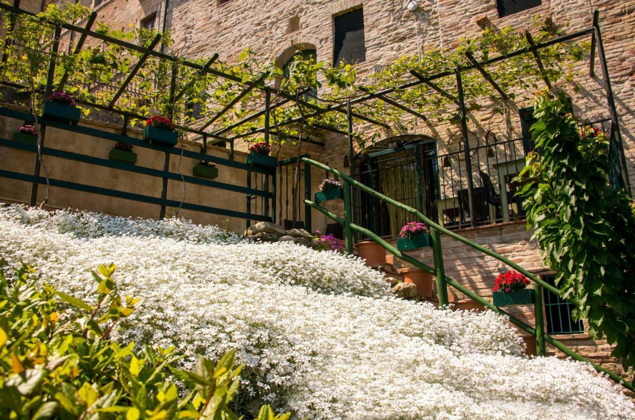 B&B Borgo Marano Cupra Marittima Exteriör bild